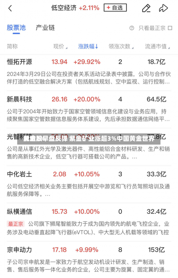 黄金股早盘反弹 紫金矿业涨超3%中国黄金世界
涨逾2%-第2张图片