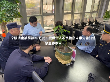 宁银消金被罚款20万元：提供个人不良信息未事先告知信息主体本人-第1张图片