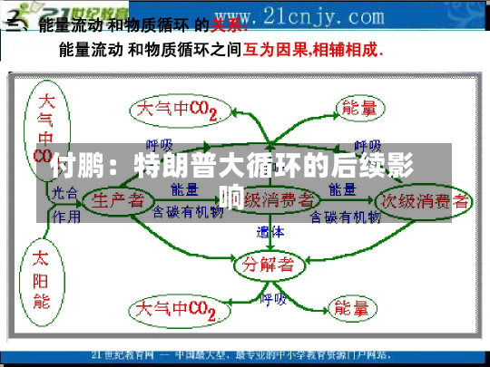 付鹏：特朗普大循环的后续影响-第2张图片