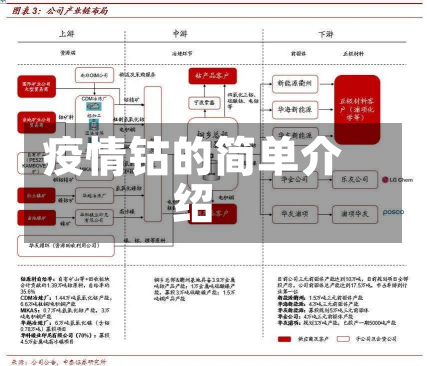 疫情钴的简单介绍-第2张图片