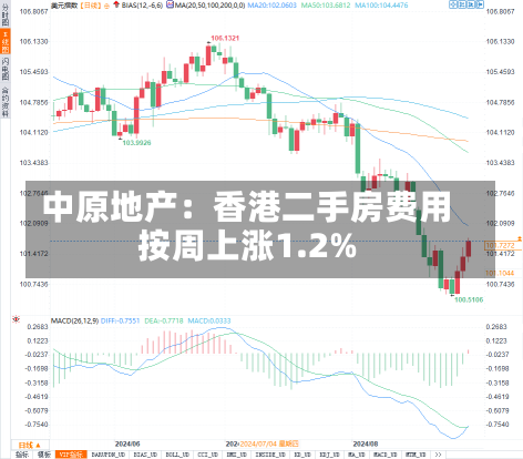 中原地产：香港二手房费用
按周上涨1.2%-第2张图片