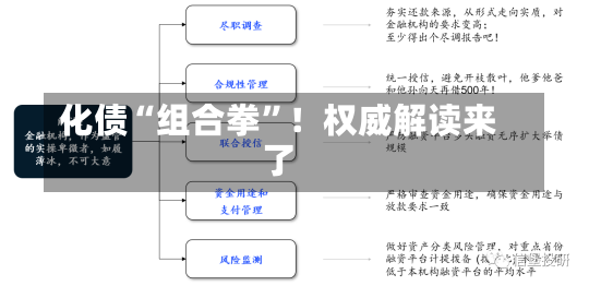 化债“组合拳”！权威解读来了-第1张图片