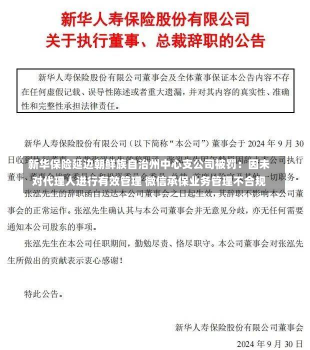 新华保险延边朝鲜族自治州中心支公司被罚：因未对代理人进行有效管理 微信承保业务管理不合规-第2张图片