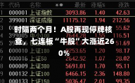 时隔两个月！A股再现停牌核查，七连板“牛股”大涨近260%-第1张图片