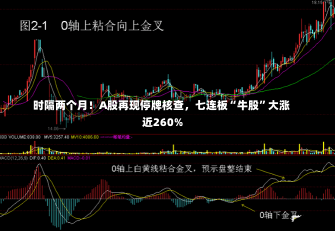 时隔两个月！A股再现停牌核查，七连板“牛股”大涨近260%-第3张图片