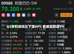 Q3净利润同比下降69% 爱彼迎跌超9%-第2张图片