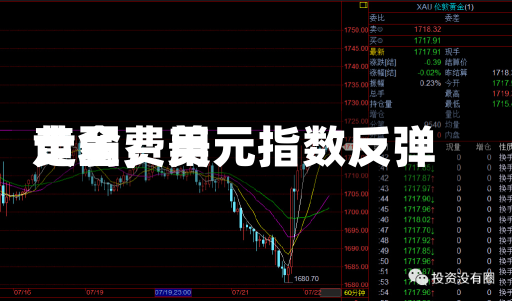 黄金费用
走弱，美元指数反弹-第1张图片