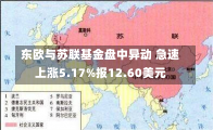 东欧与苏联基金盘中异动 急速上涨5.17%报12.60美元-第3张图片