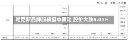 哈尼斯品牌服装盘中异动 股价大跌5.01%-第1张图片