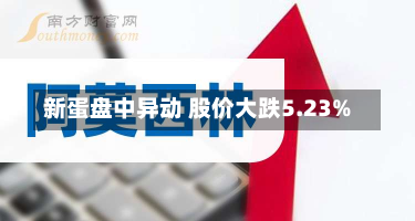 新蛋盘中异动 股价大跌5.23%-第1张图片