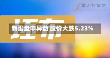 新蛋盘中异动 股价大跌5.23%-第2张图片