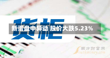 新蛋盘中异动 股价大跌5.23%-第3张图片