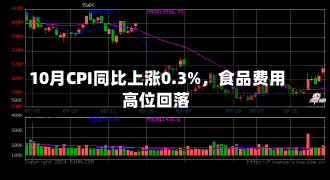 10月CPI同比上涨0.3%，食品费用
高位回落-第1张图片