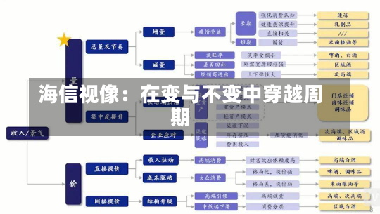 海信视像：在变与不变中穿越周期-第2张图片