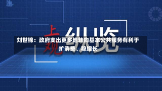 刘世锦：政府支出更多地转向基本公共服务有利于扩消费、稳增长-第1张图片