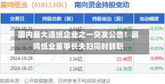 国内最大造纸企业之一突发公告！晨鸣纸业董事长夫妇同时辞职-第1张图片