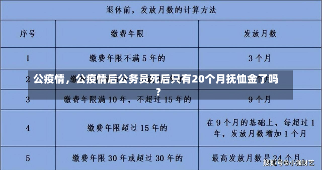 公疫情，公疫情后公务员死后只有20个月抚恤金了吗?-第3张图片