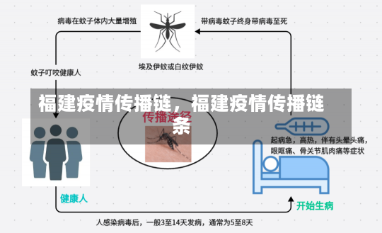 福建疫情传播链，福建疫情传播链条-第2张图片