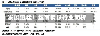 发展迅猛！越南钢铁行业简析-第2张图片