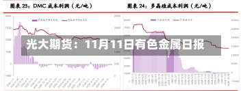 光大期货：11月11日有色金属日报-第3张图片