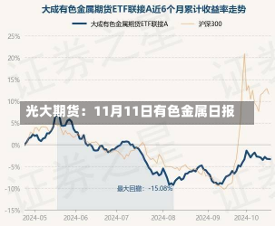 光大期货：11月11日有色金属日报-第2张图片