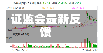 证监会最新反馈-第2张图片