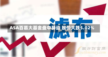 ASA百慕大基金盘中异动 股价大跌5.02%-第1张图片