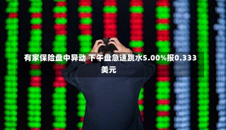 有家保险盘中异动 下午盘急速跳水5.00%报0.333美元-第1张图片