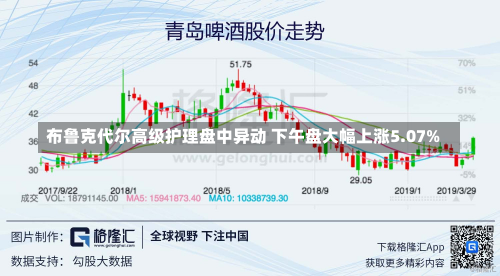 布鲁克代尔高级护理盘中异动 下午盘大幅上涨5.07%-第2张图片