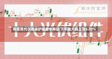 布鲁克代尔高级护理盘中异动 下午盘大幅上涨5.07%-第3张图片