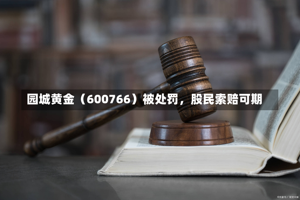 园城黄金（600766）被处罚，股民索赔可期-第2张图片