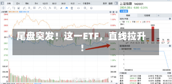 尾盘突发！这一ETF，直线拉升！-第2张图片