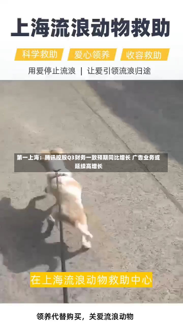 第一上海：腾讯控股Q3财务一致预期同比增长 广告业务或延续高增长-第1张图片