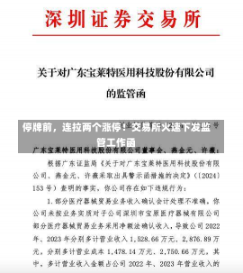 停牌前，连拉两个涨停！交易所火速下发监管工作函-第1张图片