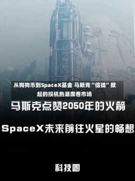 从狗狗币到SpaceX基金 马斯克“信徒”掀起的投机热潮席卷市场-第2张图片