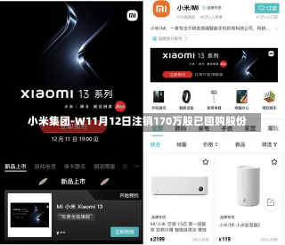 小米集团-W11月12日注销170万股已回购股份-第1张图片