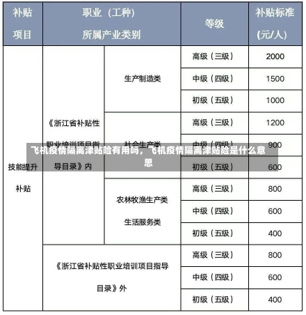 飞机疫情隔离津贴险有用吗，飞机疫情隔离津贴险是什么意思-第1张图片