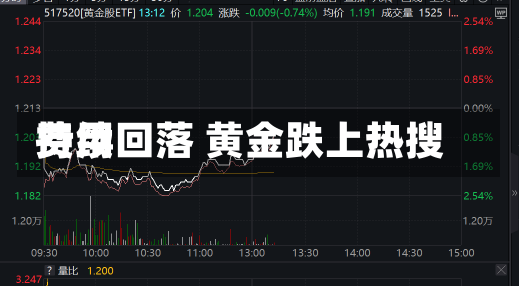 费用
持续回落 黄金跌上热搜