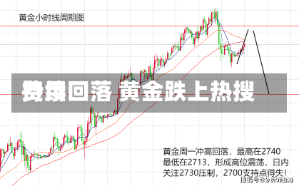 费用
持续回落 黄金跌上热搜-第3张图片