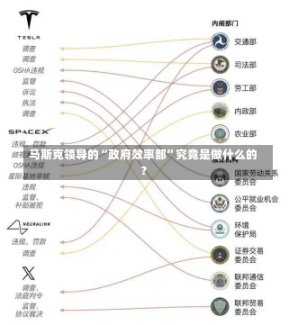 马斯克领导的“政府效率部”究竟是做什么的？-第1张图片