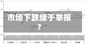 市场下跌缘于举报？-第1张图片