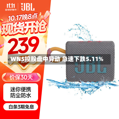 WNS控股盘中异动 急速下跌5.11%-第2张图片