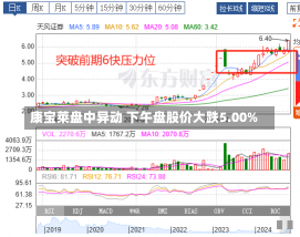 康宝莱盘中异动 下午盘股价大跌5.00%-第1张图片