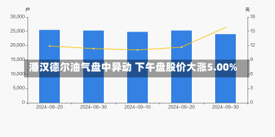 潘汉德尔油气盘中异动 下午盘股价大涨5.00%-第2张图片