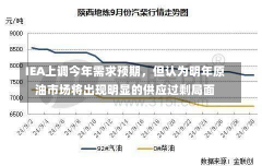 IEA上调今年需求预期，但认为明年原油市场将出现明显的供应过剩局面-第1张图片