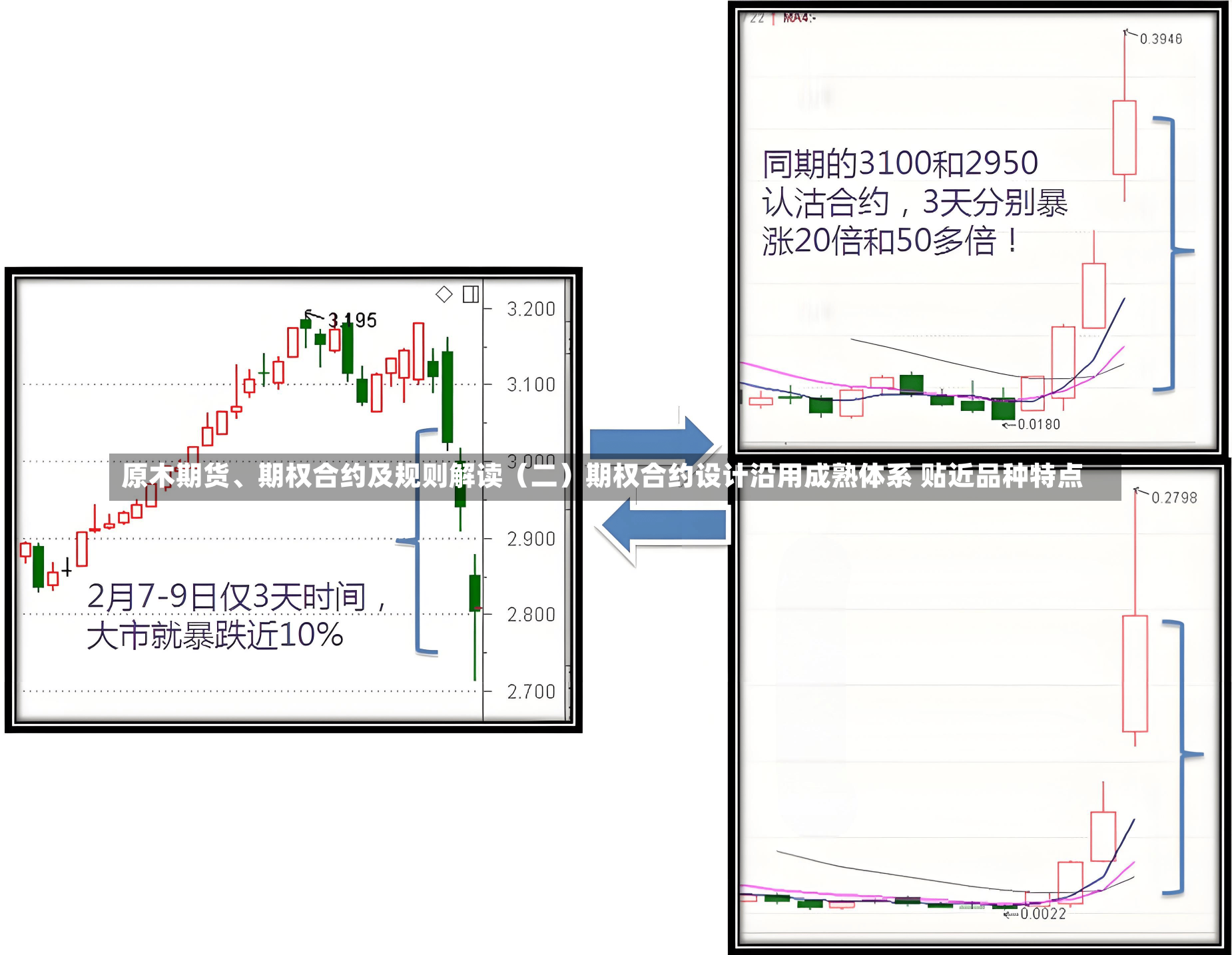 原木期货、期权合约及规则解读（二）期权合约设计沿用成熟体系 贴近品种特点