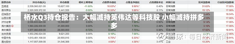 桥水Q3持仓报告：大幅减持英伟达等科技股 小幅减持拼多多-第3张图片