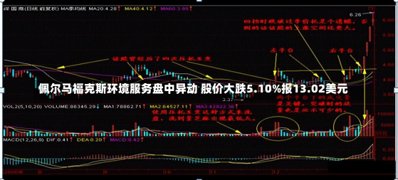 佩尔马福克斯环境服务盘中异动 股价大跌5.10%报13.02美元