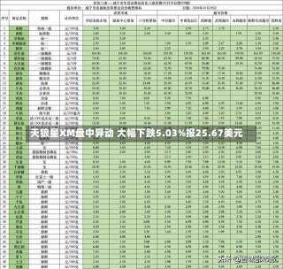 天狼星XM盘中异动 大幅下跌5.03%报25.67美元