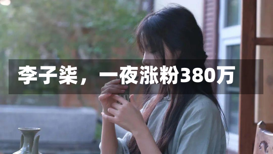 李子柒，一夜涨粉380万-第3张图片